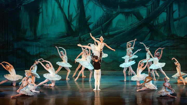 Houston Repertoire Ballet Swan Lake Highlights