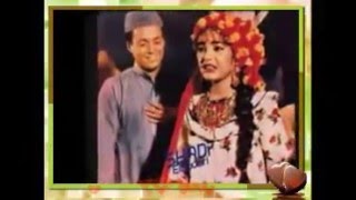 عمرفتحي شوف