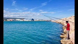 La Peche A La Dorade Et Pageot Du Bord