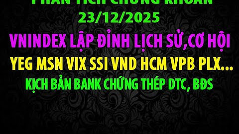 VNINDEX Lập Đỉnh, Đa Số NĐT Không Vui, Tiềm Năng SSI VND HPG MSN PLX DIG PDR  VIX VPB STB YEG HCM...