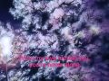 Lady Antebellum - Never Alone Lyrics