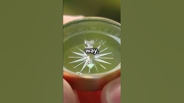 Can We Navigate Without GPS or Quantum Tech?