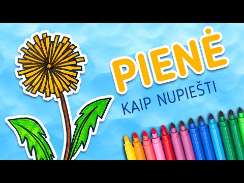 Video: Kaip Nupiešti Pynę