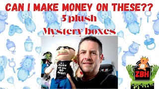 Can i make Money on a Charity Plush Mystery Box Haul?