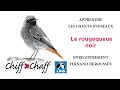 Apprendre les chants doiseaux 7  le rougequeue noir chiffchaff