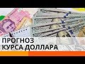 Курс доллара упал, но радоваться не стоит. Почему?