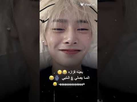 بعينه قزازه تشانغبين هاني أبو كريشان Stray تشانيول Leeknowstan