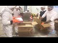 Argentinian red shrimp packing process