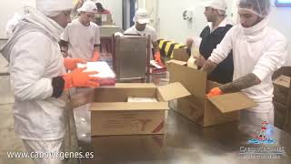 Argentinian red shrimp packing process