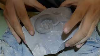 Lytoceras Ammonite Preparation