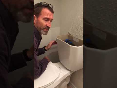 Glacier Bay Flush Valve Replacement