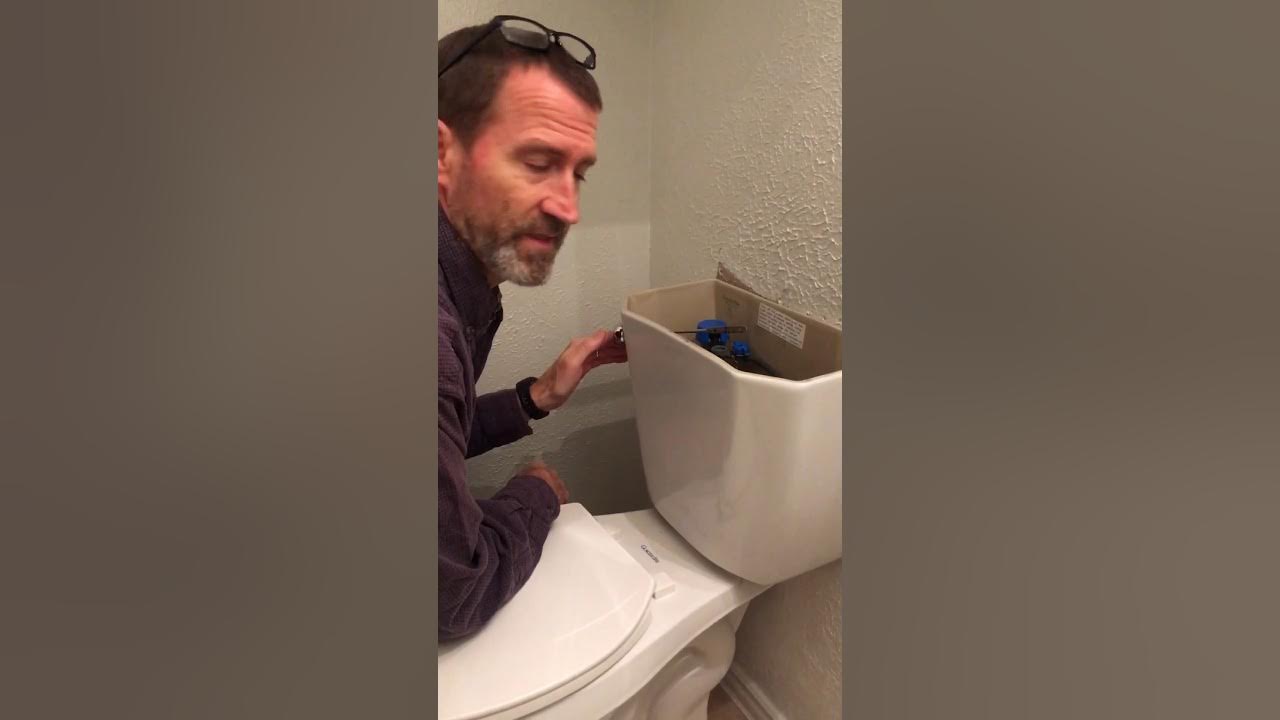 Replace toilet flapper glacier bay YouTube