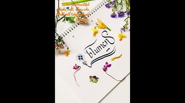 The most beatiful flower #shorts #shortsvideo #subscribe #calligraphy #welt #lettering