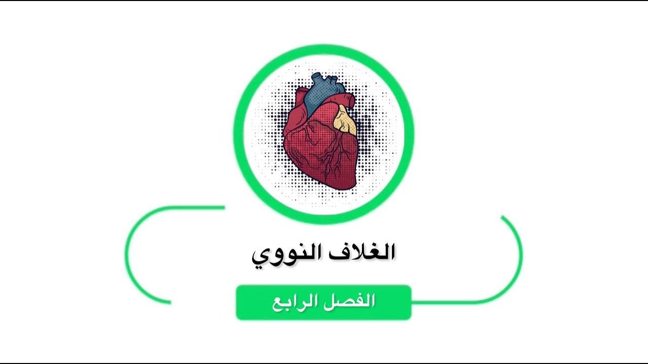 الغلاف النووي الفصل الرابع بيولوجيا