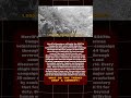 #history #war #military #politicians #warstories #war2 #ww2 #historywar #usa #shorts