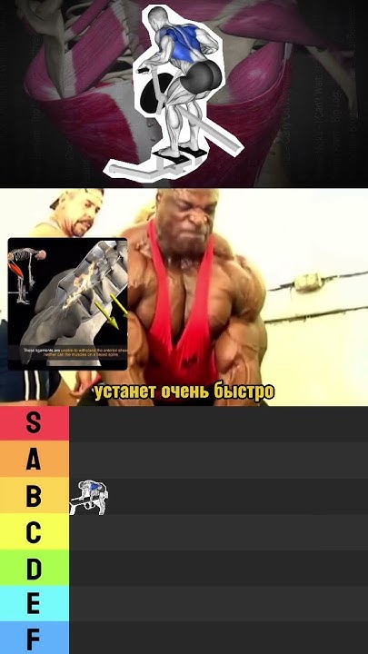 ТИР ЛИСТ СПИНА / Лучшие и Худшие упражнения Часть 4 #shorts #gym #viral ...