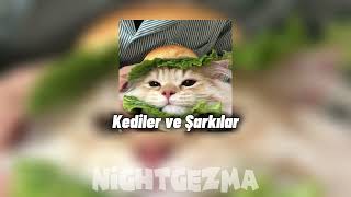 Kediler Ve Şarkılar speed up