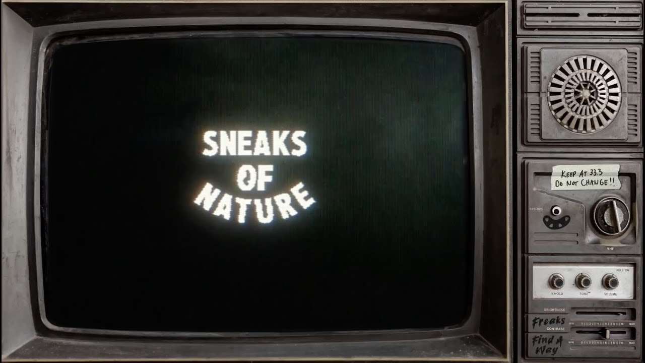 Sneaks of Nature | Project Info