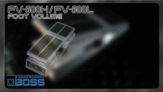 FV-500H/FV-500L Foot Volumes