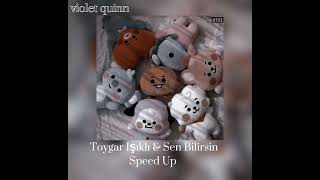 Toygar Işıklı & Sen Bilirsin Speed Up Resimi