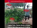Veja vídeo – Peixaria derrubada por ventos fortes e muita chuva em Lagoa Feia 
