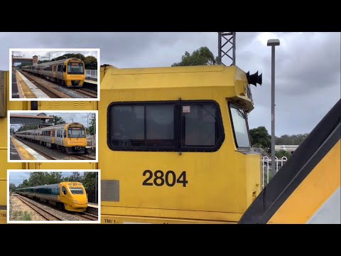 Queensland Trains - Trains at Beerwah & Landsborough