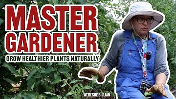 Regenerative Soil Test: How Biology Transforms Plant Growth |  Master Gardener Fort Wayne IN Zone 6A