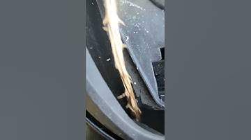 sunroof leaks, how to stop sunroof leak in 15 seconds