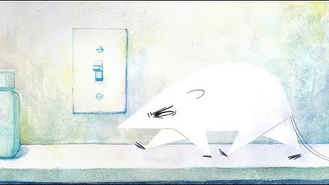 Lights Out || CSSSA 2024 Final Film