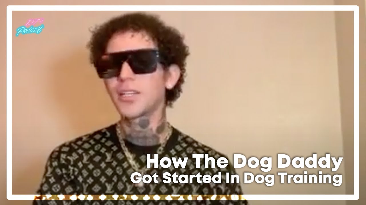 How The Dog Daddy Got Started In Dog Training. YouTube