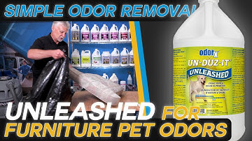 How To REMOVE Pet Urine Odor from Couches