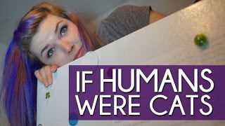 IF HUMANS WERE CATS