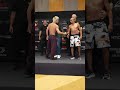 決戦目前のフェイスオフ💥フライ級鶴屋怜🆚ケヴィン・ボルハス#鶴屋怜 #UFCShanghai📅8月29日（土）⁣⏰️プレリム16時｜メインカード19時⁣📺 #UNEXT & #UFCFightPass
