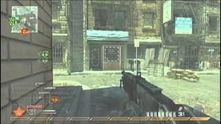 Celebrity Flux ZixiC Montage Waving Flag Net Worth