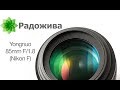 Обзор Yongnuo YN 85mm F1.8 для Nikon (YN85mm F1.8N). Бюджетный объектив для зеркальных камер