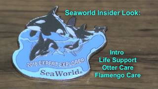Seaworld Inside Look #1: Intro, Life Support, Otter and Flamego Care
