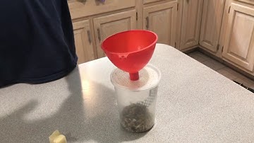 Fruitflies easy feeding pets praying mantis escape