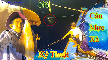 CÂU CÁ NGỪ ĐẠI DƯƠNG BIỂN HOÀNG SA 24║Kỹ Thuật Câu Mực Xà Lá Và Đêm Câu Cá Gù.