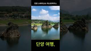 단양 여행, 하루의 피로를 녹여줄 곳을 찾으시나요? 그렇다면 단양 스테이230 게스트하우스!#쇼츠 #shorts #여행 #국내여행