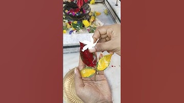 बेलपत्र पर पीले और लाल चंदन का उपाय #pradeepmishraji #mhadevbhakt #belpatra #shivling #chandan