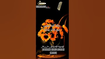 سورة الإسراء#allah #capcut