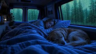 Cozy Van in the Rainy Forest 🌧️ Relaxing ASMR Sounds for Instant Sleep Update