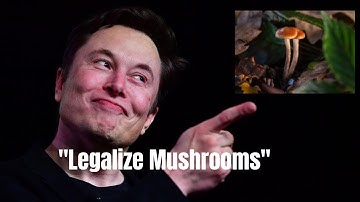 Elon Musk on Taking Mushrooms