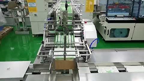 Feeding Package Line | Friction Feeder With Horizontal Packing Machine Auto Batch Counting
