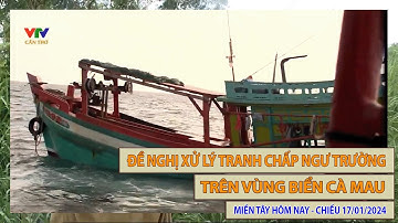 Đề nghị xử lý vụ tranh chấp ngư trường ở vùng biển Cà Mau | MIỀN TÂY HÔM NAY - CHIỀU 17/01/2024