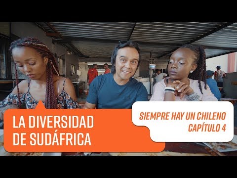 Cual Es La Mejor Carrera Para Estudiar En Sudafrica