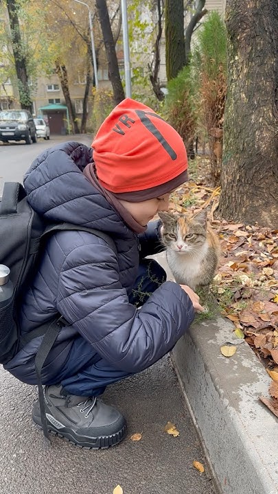 Встретили нашу кошку-соседку. Она такая милашка-болтушка. 🐈🧡 #кошка # ...