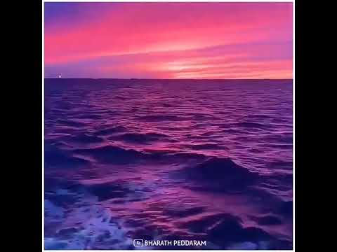 Purple sea 💜 with sunset , too much beautiful view 🥰