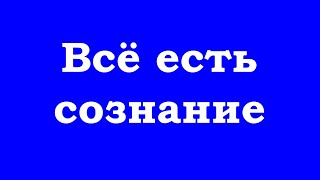 Все есть сознание