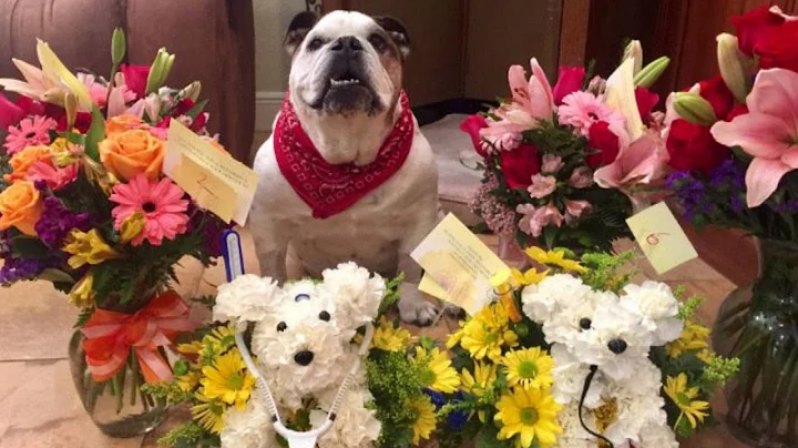 Wife Excited To Get Flowers From Husband Until She...